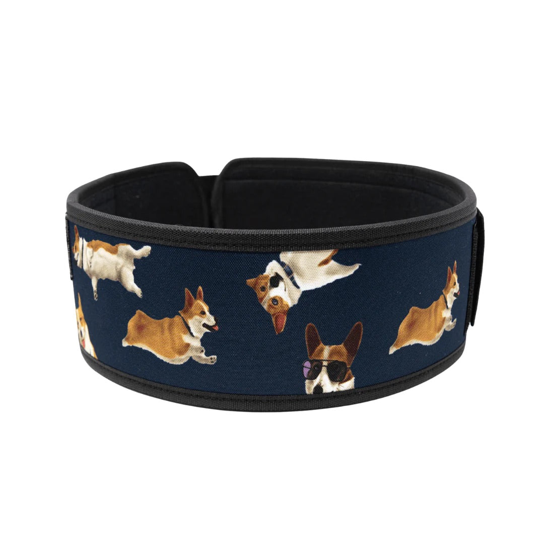 2Pood Winston the Corgi Straight Weightlifting Belt