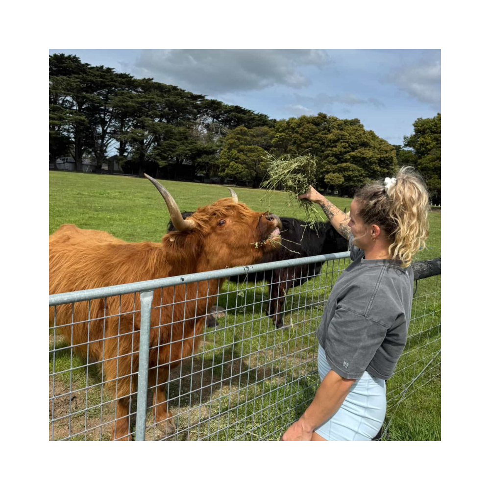 Frog Grips – Patch Maddie Cow - Maddie sturt