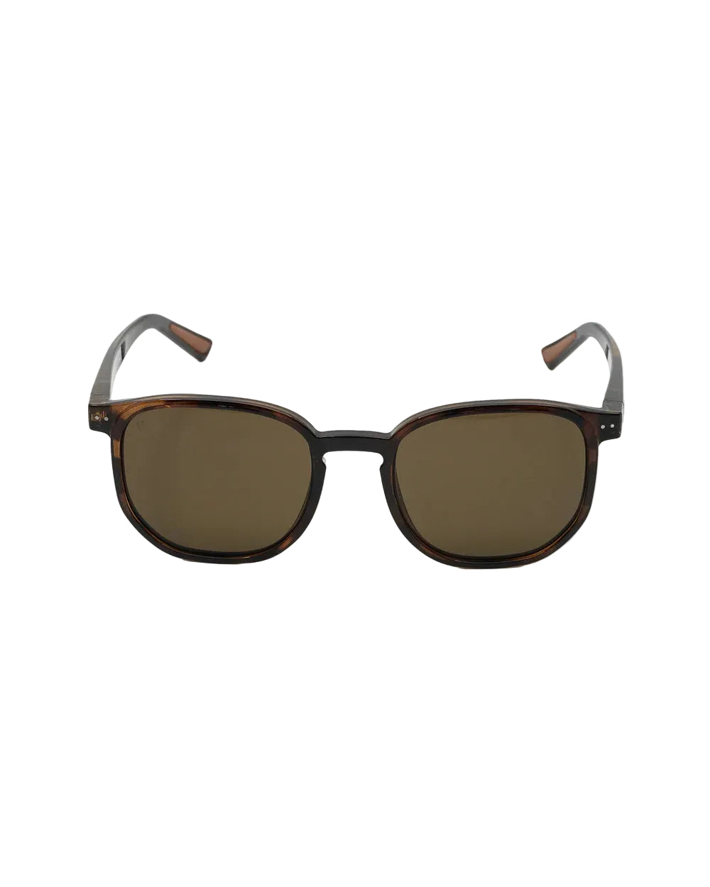Velites - Horizon Sunglasses Carey/Brown