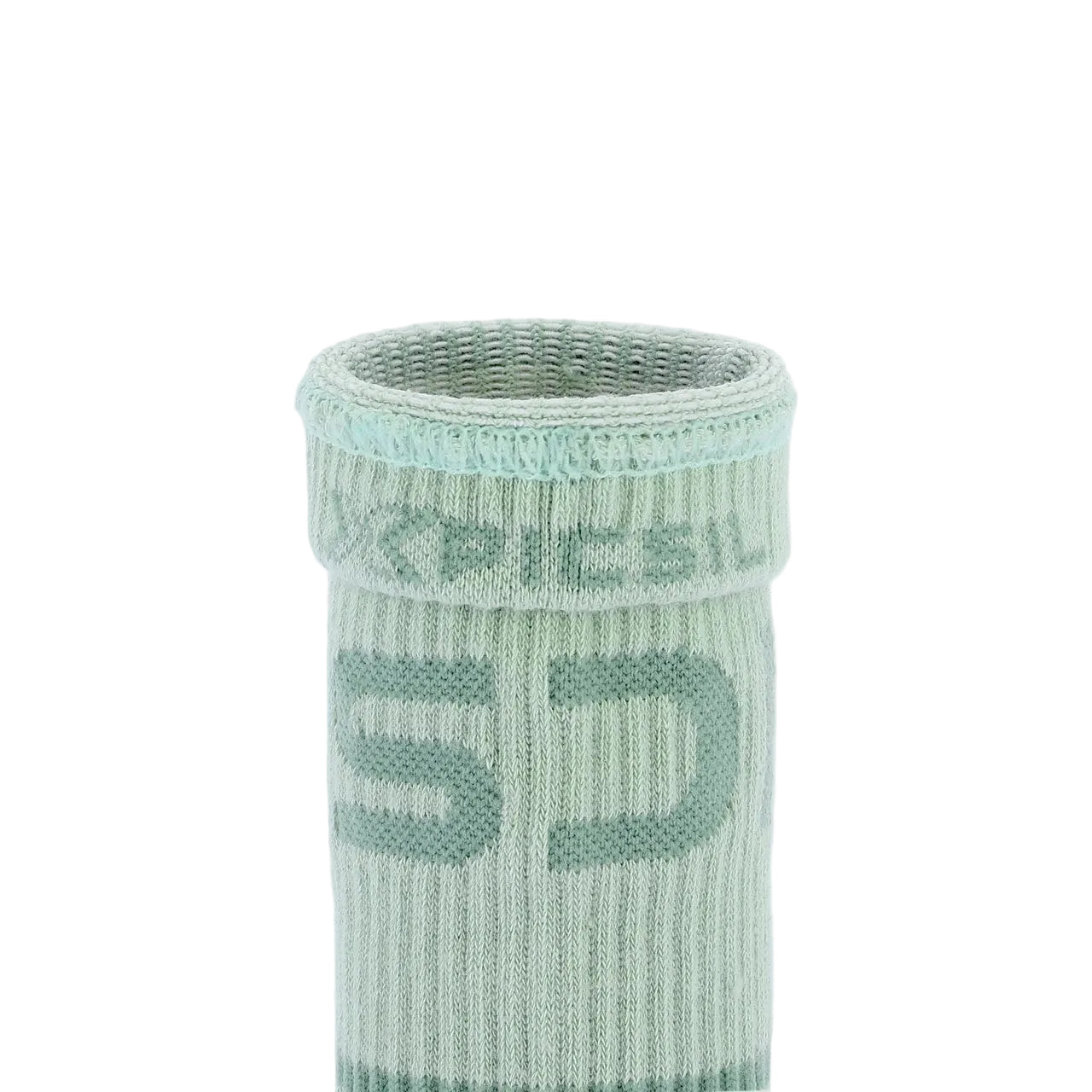 Picsil Wristband - Fern